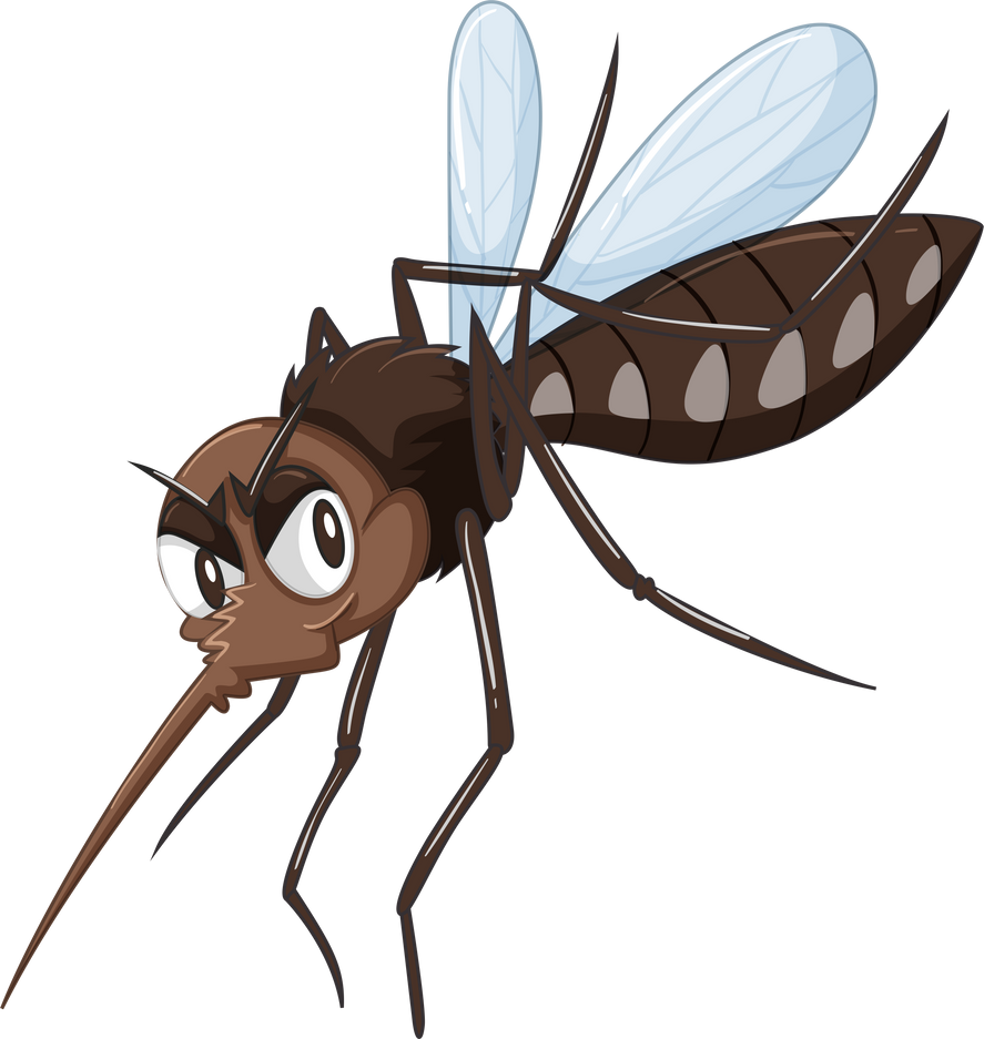 Brown Mosquito Insect